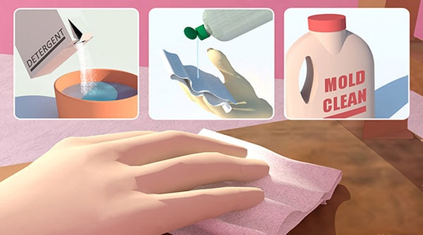 tuyệt chiêu diệt nấm mốc trên đồ gỗ